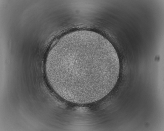 X0000111130689200907211115
