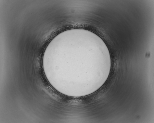 X0000111130691200907211115