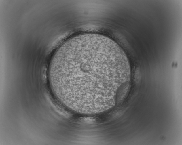 X0000111130692200907211115