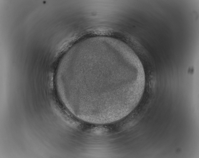 X0000111130696200907211115