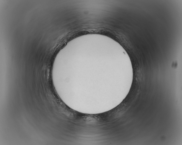 X0000111130697200907211115