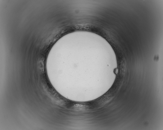 X0000111130699200907211115