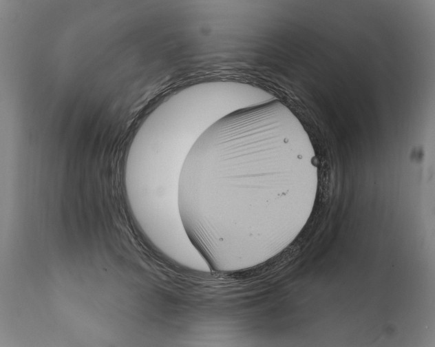 X0000111130704200907211115