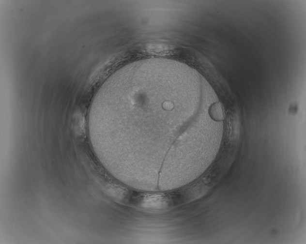 X0000111130705200907211115