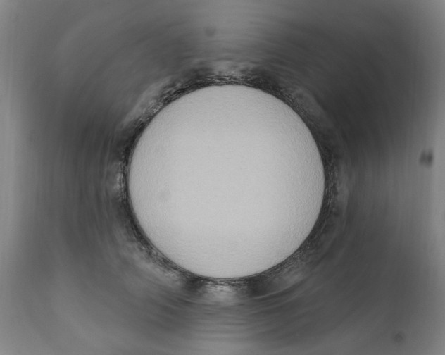 X0000111130706200907211114