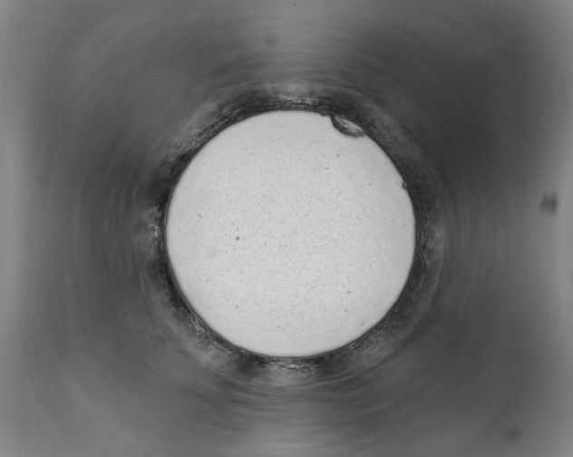 X0000111130707200907211114