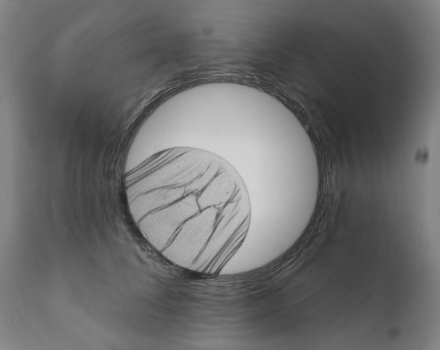 X0000111130708200907211114