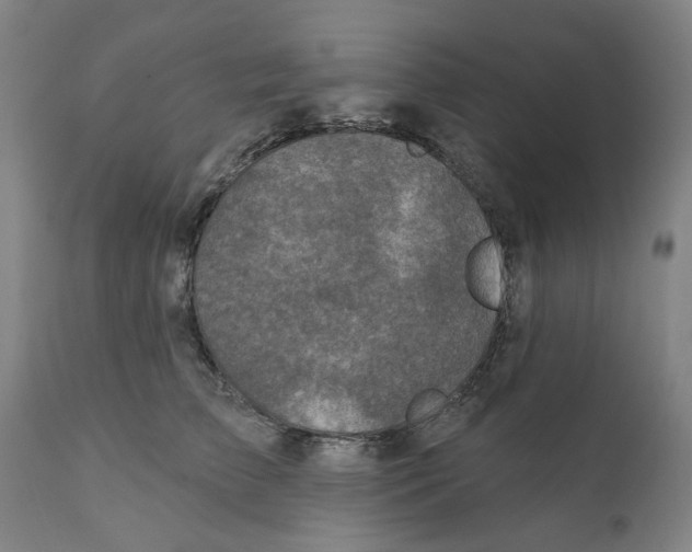 X0000111130709200907211114