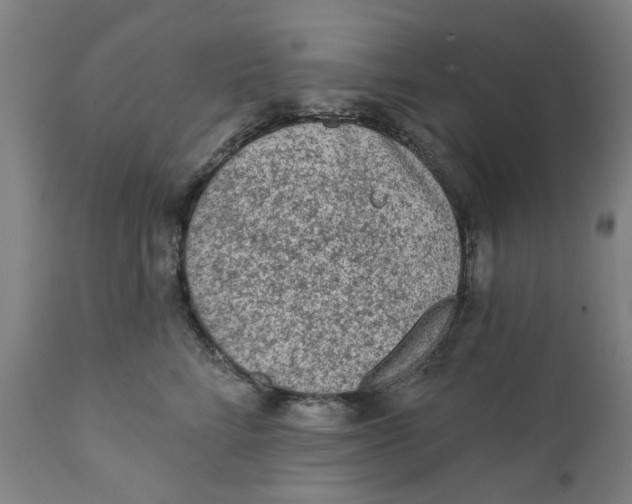 X0000111130712200907211114