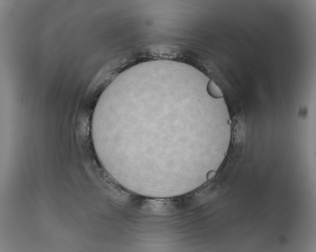 X0000111130713200907211114