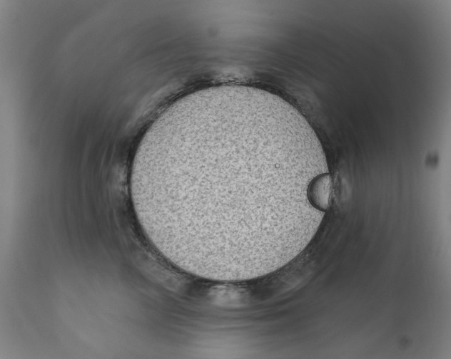 X0000111130714200907211114