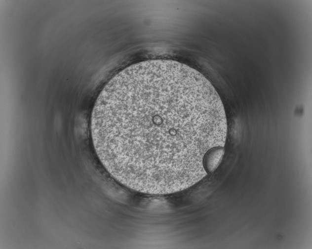 X0000111130715200907211114