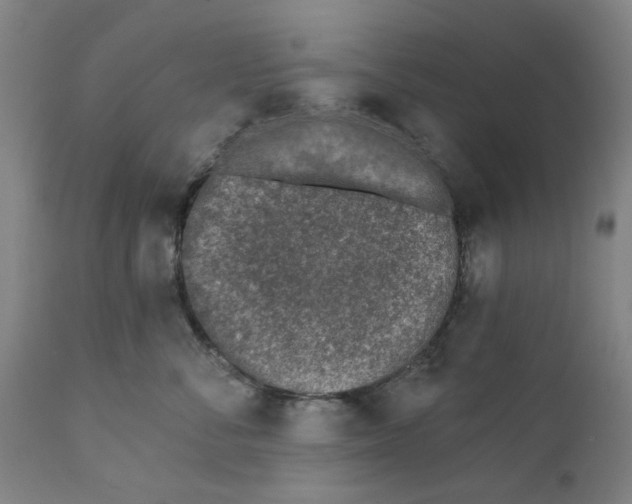X0000111130716200907211114