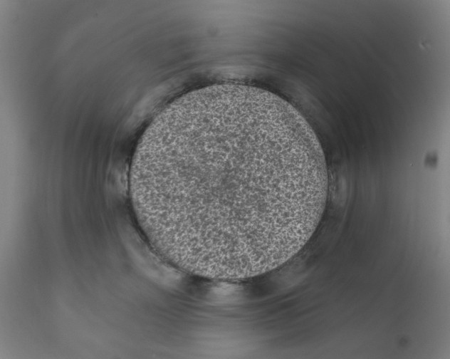 X0000111130718200907211114