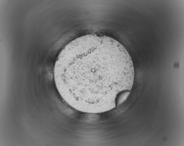 X0000111130719200907211114