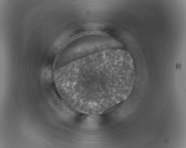 X0000111130720200907211114