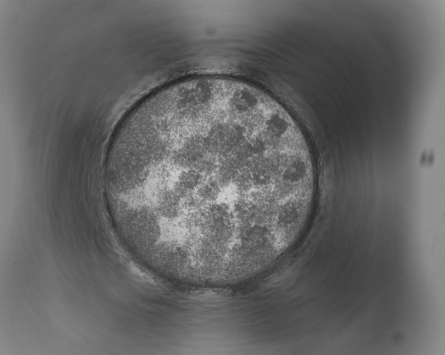 X0000111130721200907211113
