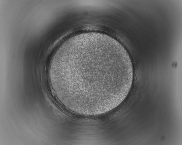 X0000111130722200907211113