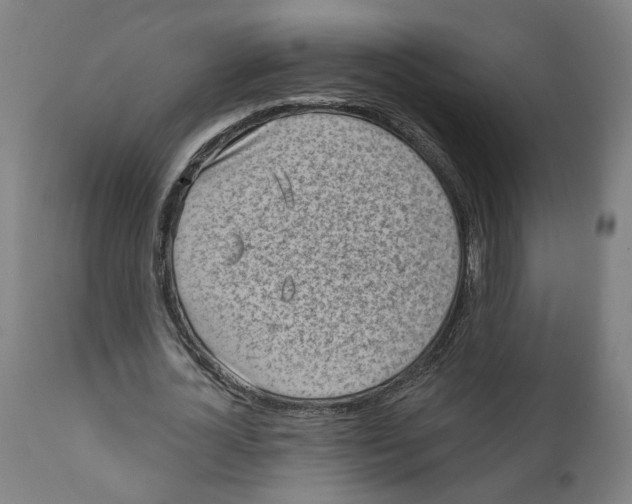 X0000111130724200907211114