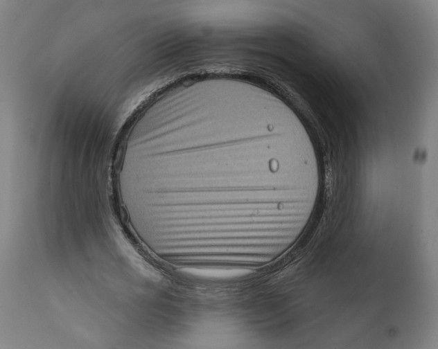 X0000111130725200907211114