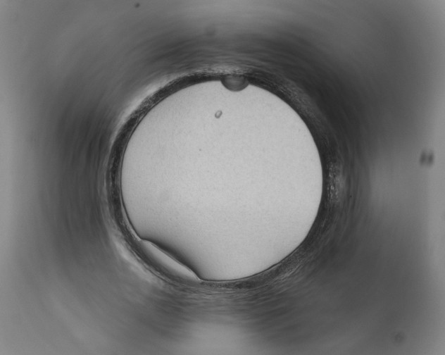 X0000111130726200907211114