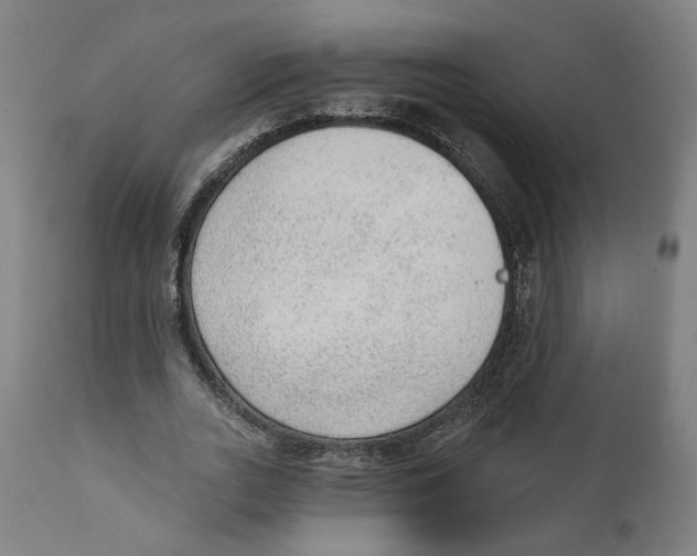 X0000111130727200907211114