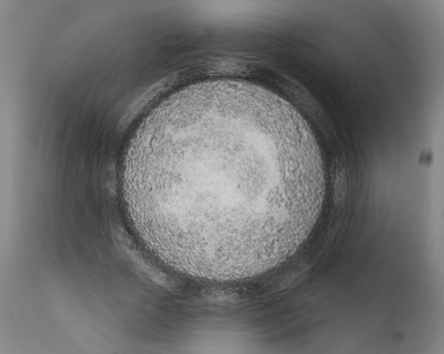X0000111130729200907211114
