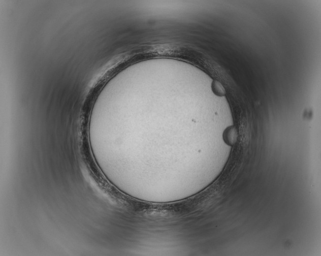 X0000111130730200907211114