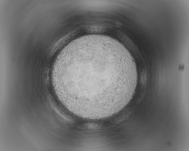 X0000111130733200907211114