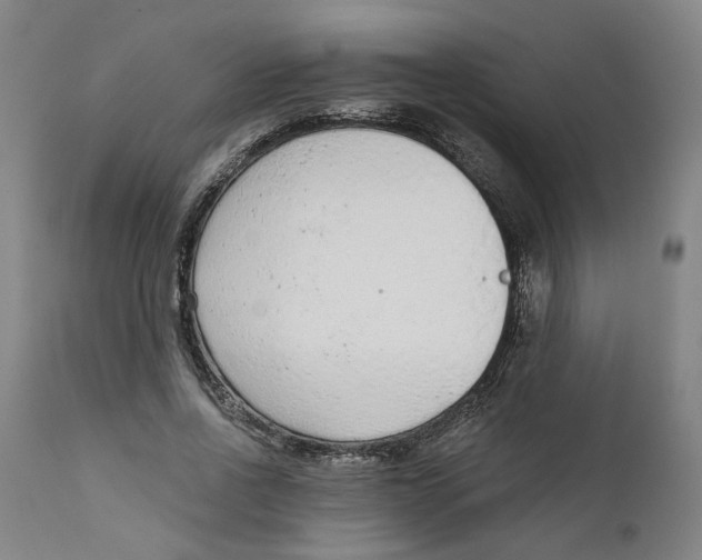 X0000111130734200907211114