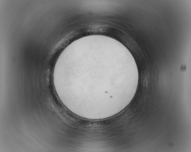 X0000111130735200907211114