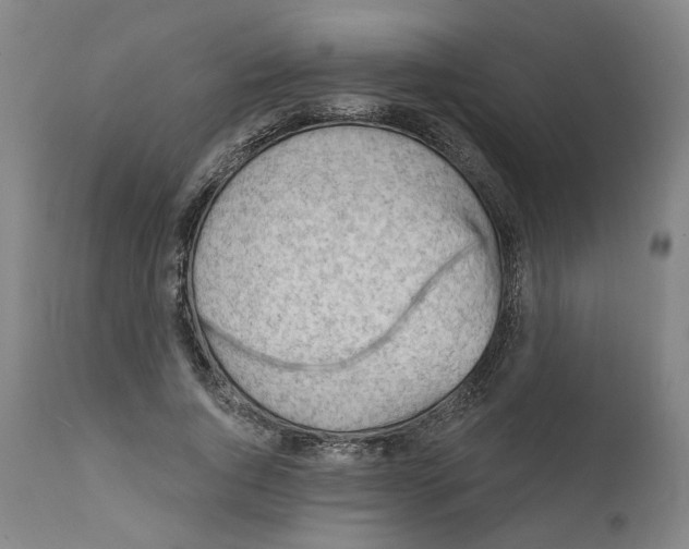 X0000111130736200907211114