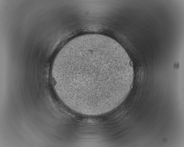 X0000111130739200907211114