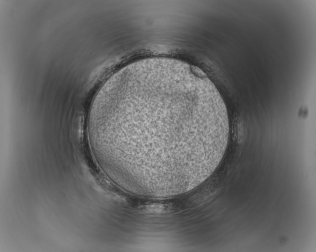 X0000111130740200907211114
