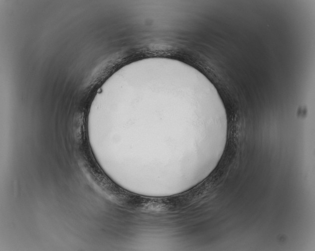X0000111130742200907211114
