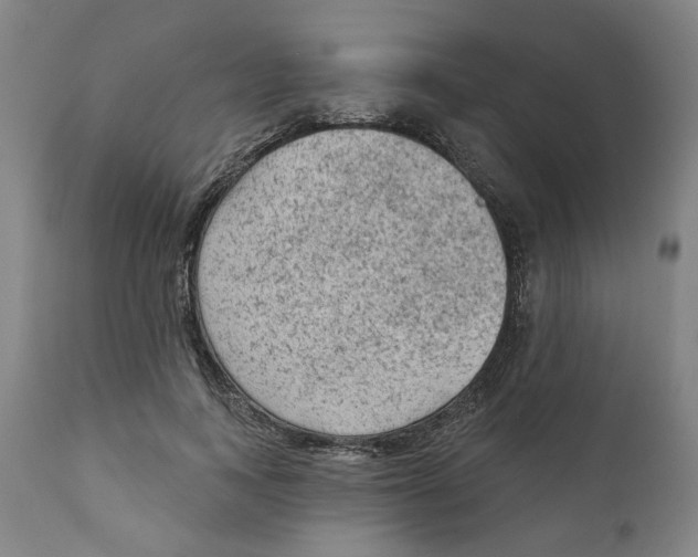 X0000111130743200907211114