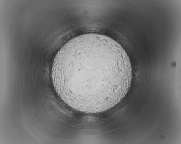 X0000111130745200907211114