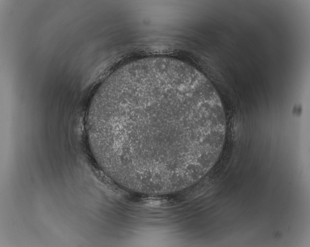 X0000111130746200907211114