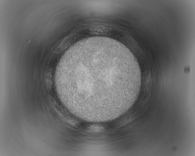 X0000111130749200907211114