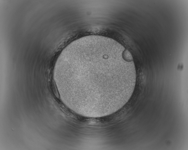 X0000111130750200907211114