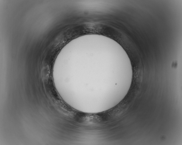 X0000111130752200907211114