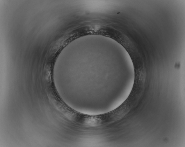 X0000111130754200907211114