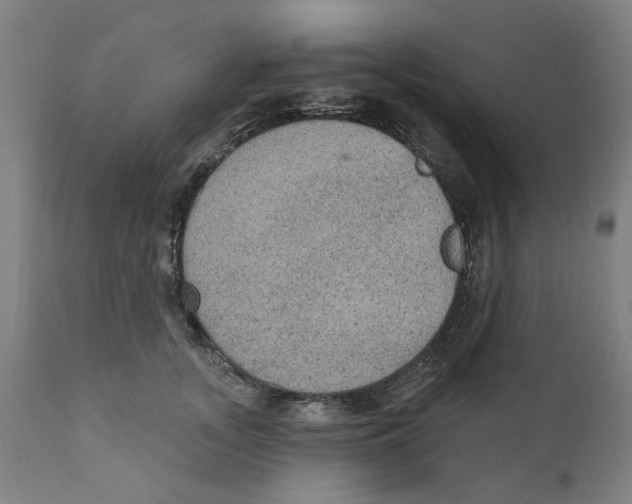 X0000111130755200907211114