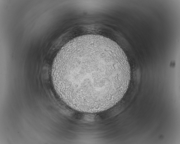 X0000111130757200907211114
