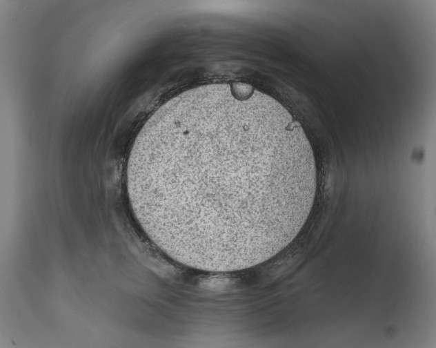 X0000111130759200907211114