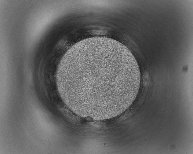 X0000111130763200907211114