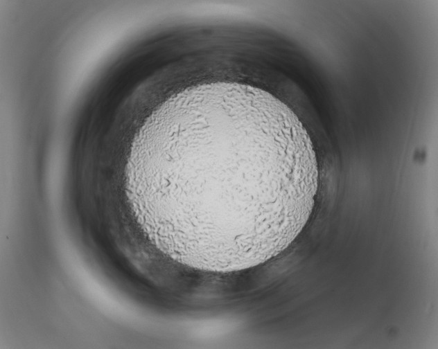 X0000111130765200907211114