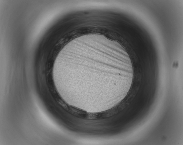 X0000111130766200907211114
