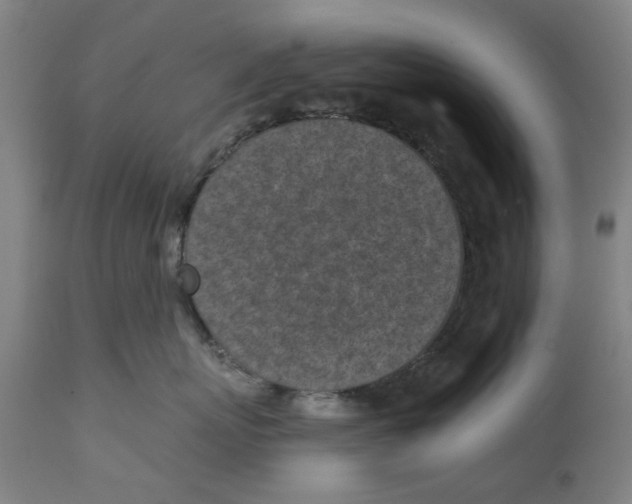 X0000111130767200907211114