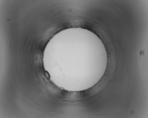X0000111130768200907211114